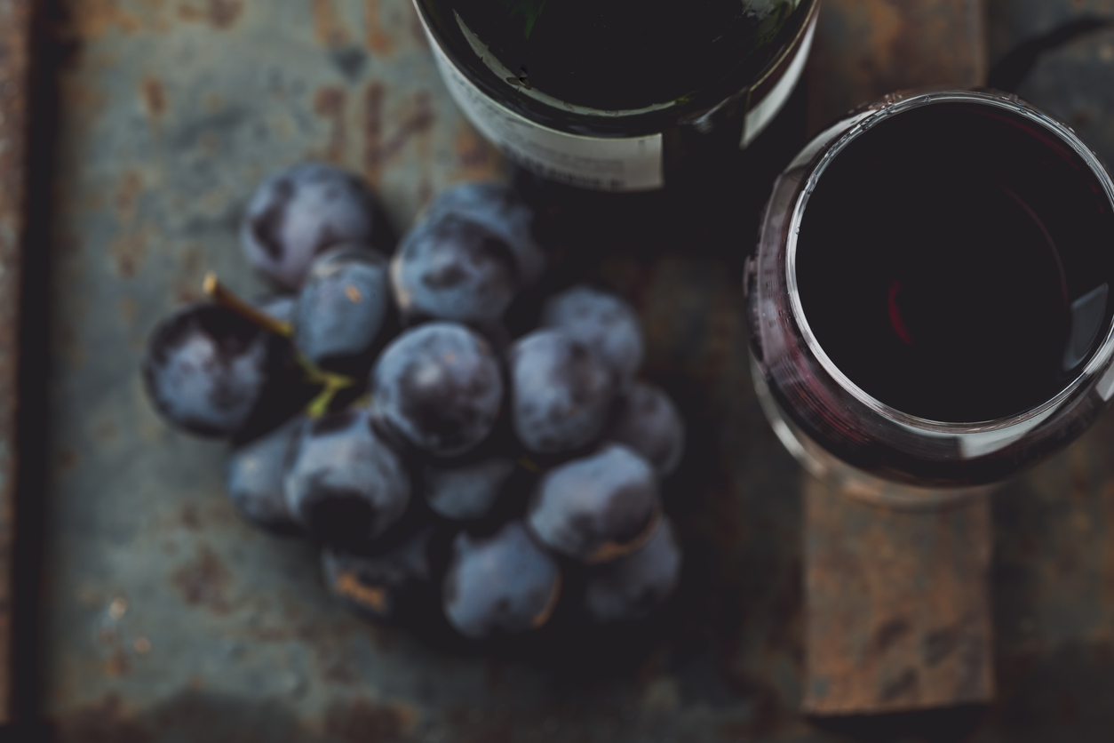 uva merlot todovino