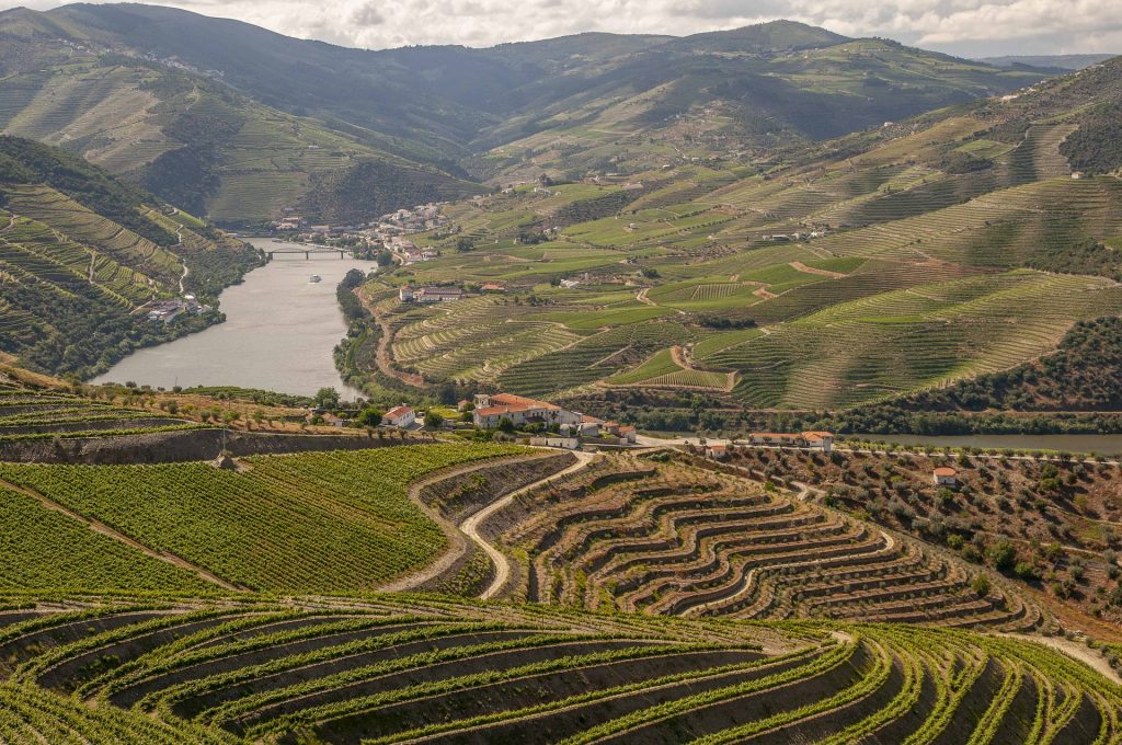 charamba-douro-vinho-portugues