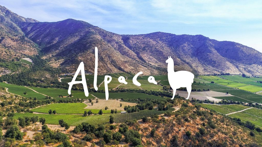 TodoVino - Alpaca