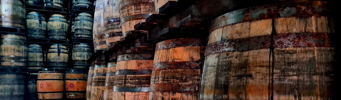 vinhos envelhecidos em barris