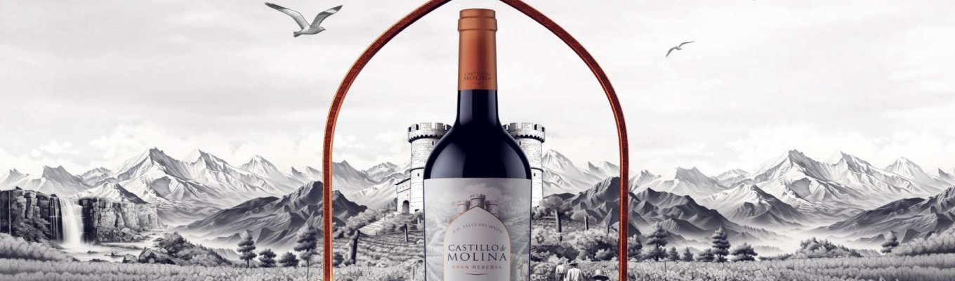 vinhos chilenos castillo de molina