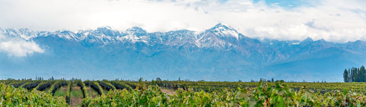 Mendoza