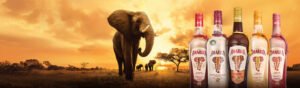 Licores Amarula