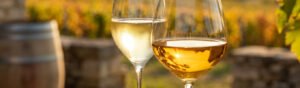 Uma fotografia sofisticada e cinematográfica em close de duas taças distintas de vinho Chardonnay