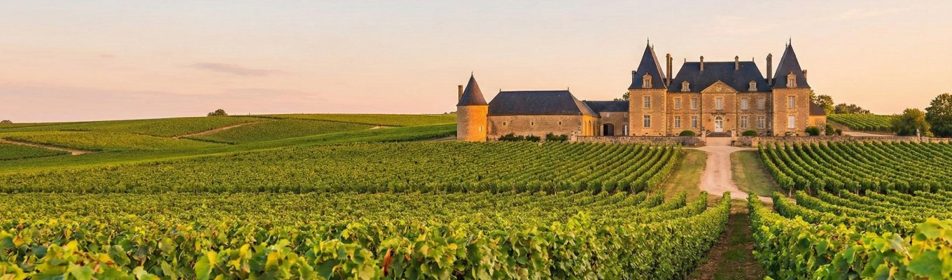Classificação cru