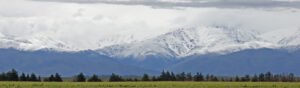 Malbec de altitude mostra como origem, clima e vinhedos altos mudam frescor, textura e complexidade no vinho argentino.