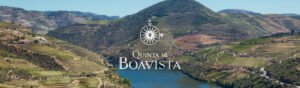 Conheça a Quinta da Boavista no Douro, suas vinhas históricas, os socalcos de xisto e três tintos disponíveis na TodoVino.Conheça a Quinta da Boavista no Douro, suas vinhas históricas, os socalcos de xisto e três tintos disponíveis na TodoVino.