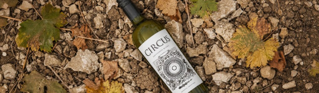 Terroir explicado de forma direta: entenda como solo, clima e altitude mudam o sabor de um vinho e por que a mesma uva nunca é igual em dois lugares.
