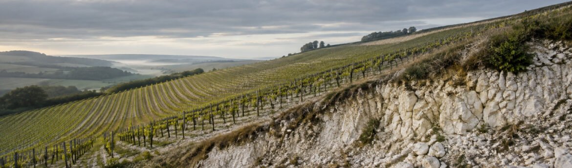 O espumante inglês cresceu 510% em área plantada desde 2005 e já atrai casas de Champagne. Entenda o que está por trás desse momento.